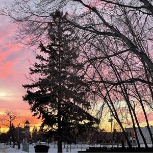 Meet your Posher, Kimberlea